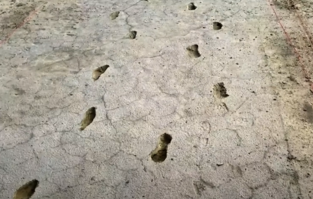 Screenshot of Ice Age Footprints (2022)