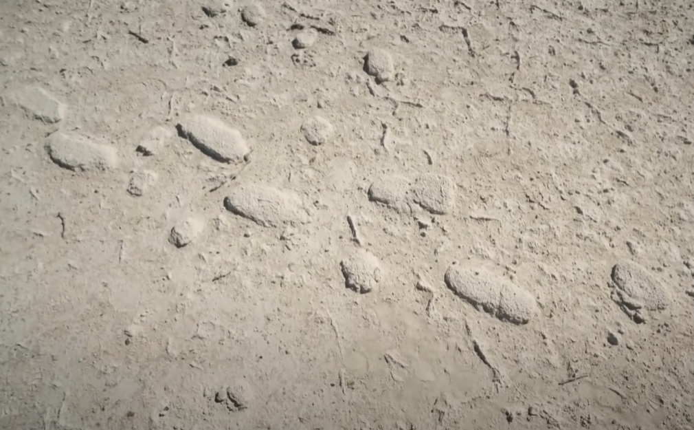 Screenshot of Ice Age Footprints (2022)