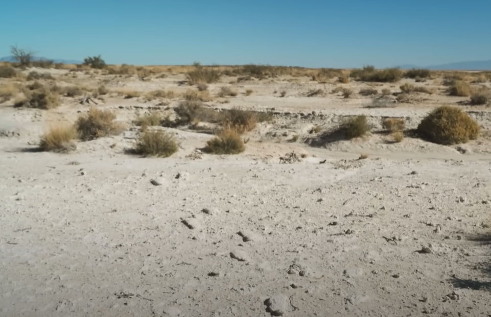 Screenshot of Ice Age Footprints (2022)