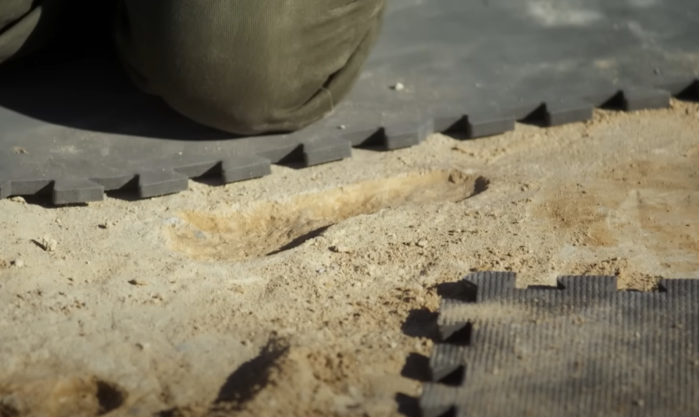 Screenshot of Ice Age Footprints (2022)