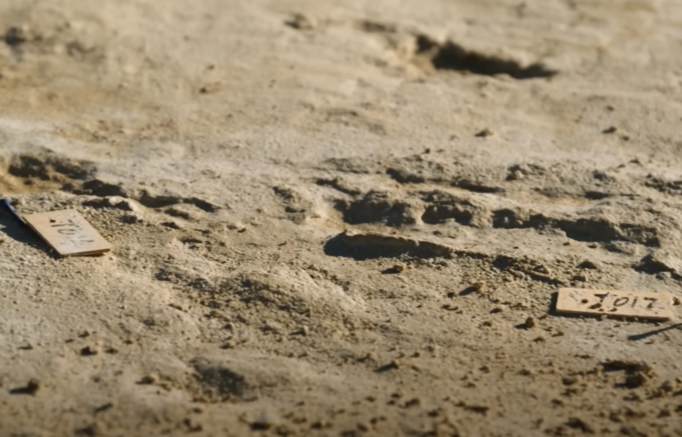 Screenshot of Ice Age Footprints (2022)