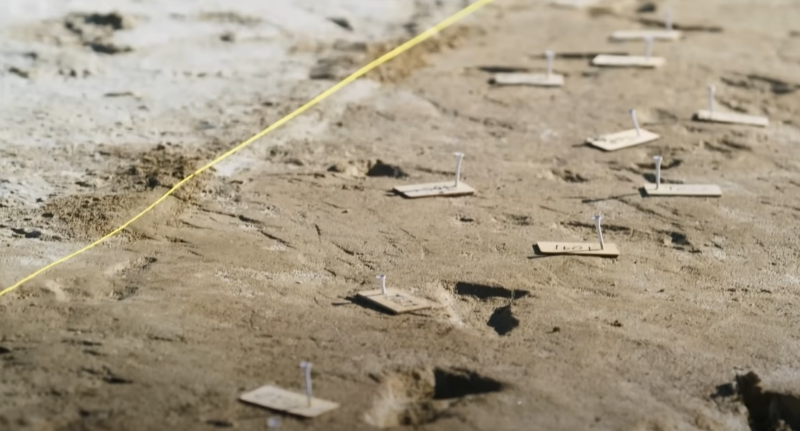 Screenshot of Ice Age Footprints (2022)