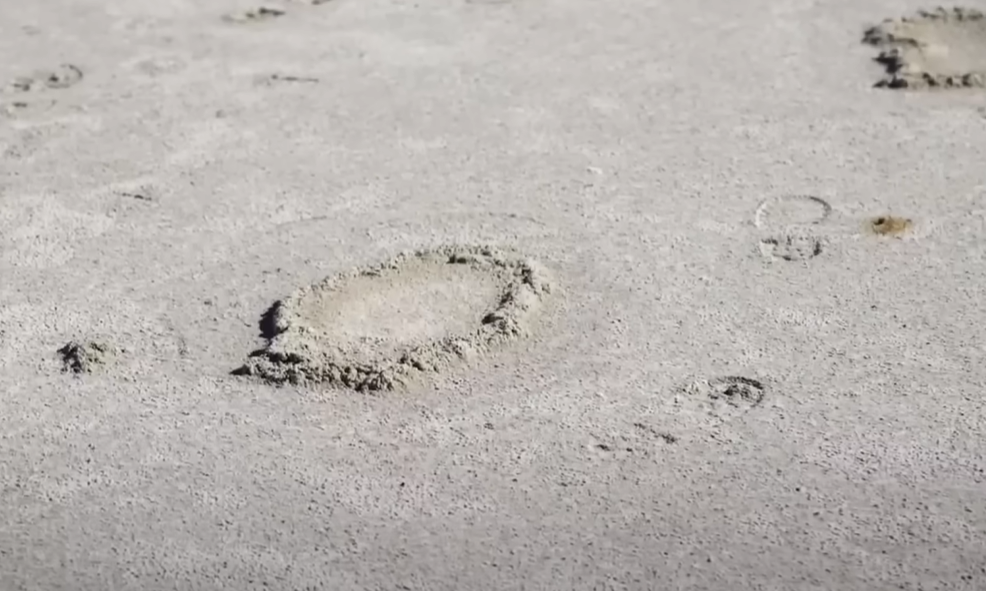 Screenshot Ancient footprints in New Mexico