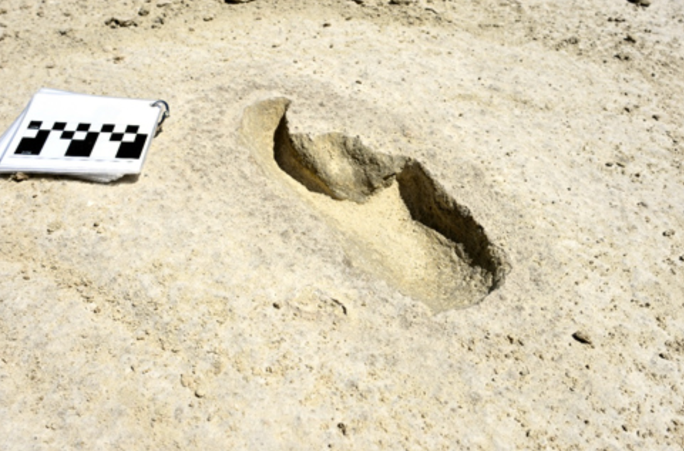 Fossil footprint