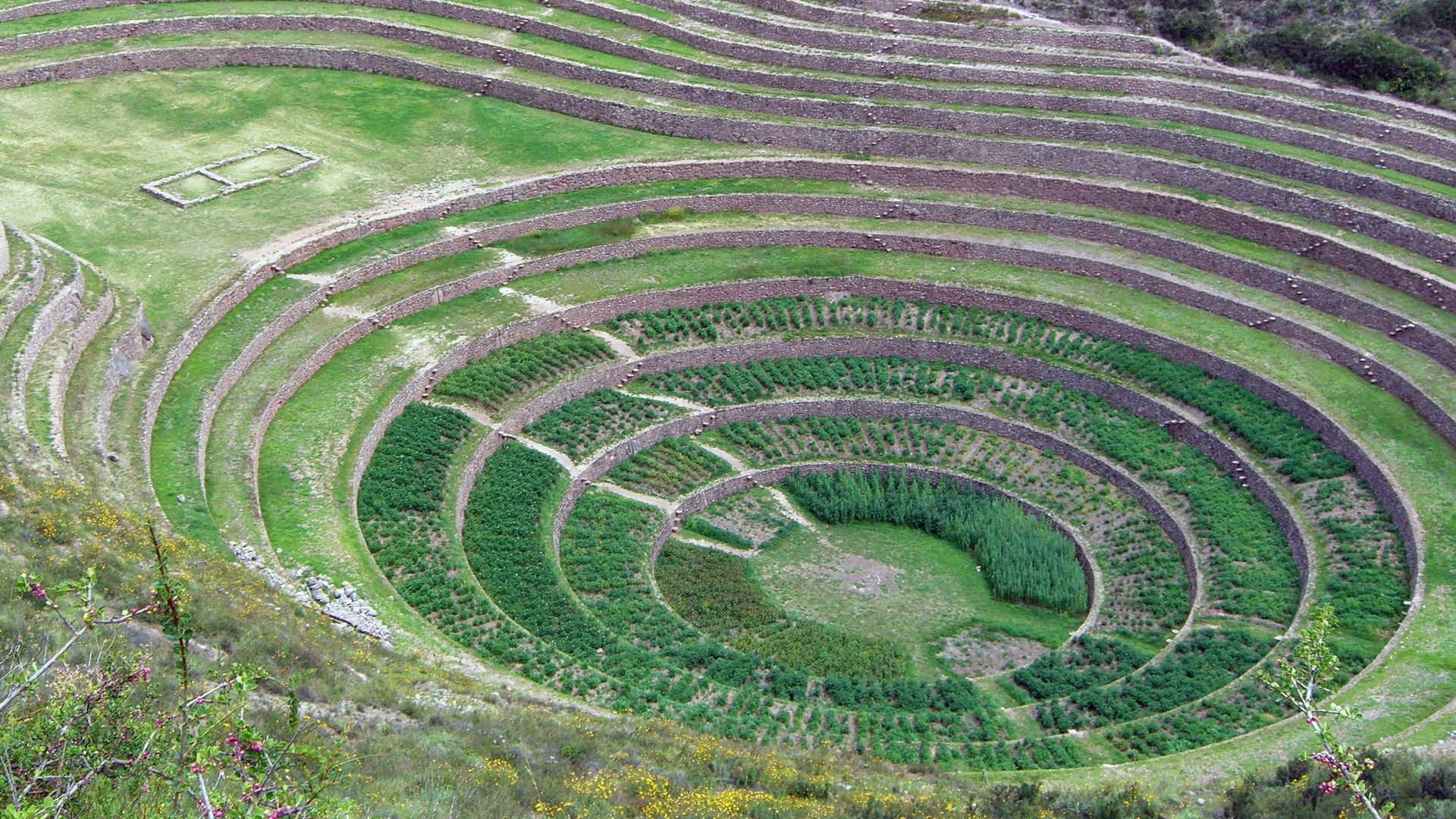 File:Moray - Qechuyoq.JPG