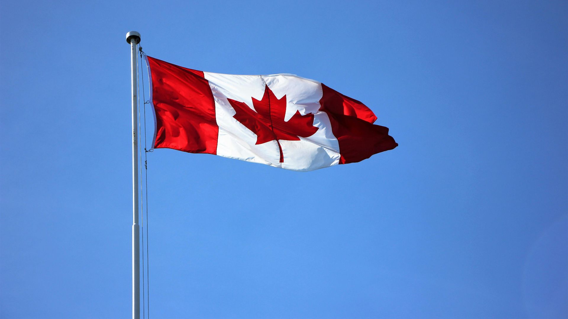 Social Soup Social Media