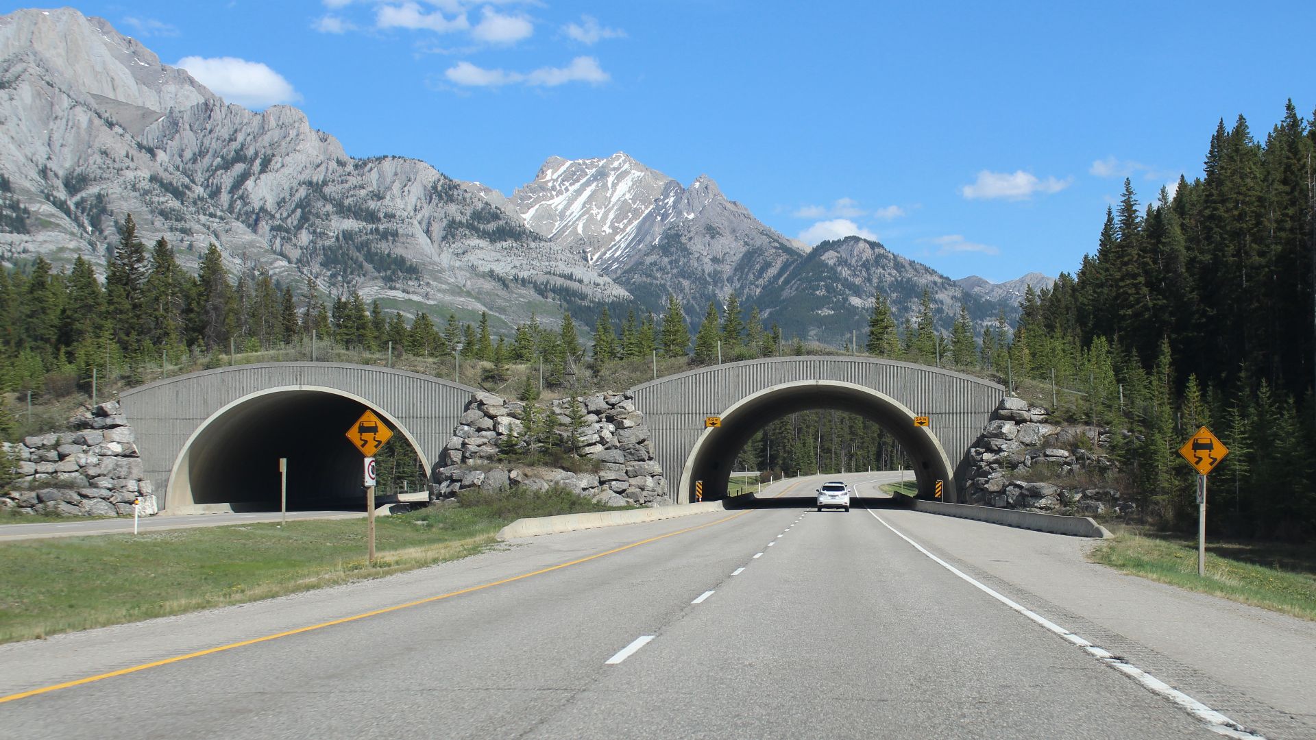 File:Wildlife Crossing in Banff National Park.jpg