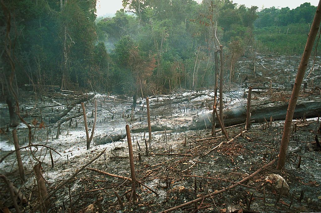 Heavy smoke emanates from slash and burn agricultu