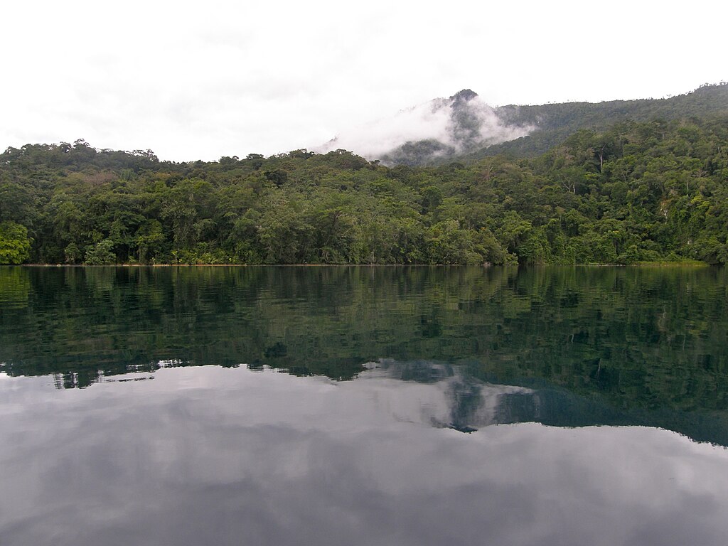 The image shows a calm body of water reflecting a lush, green forest that covers the surrounding hills