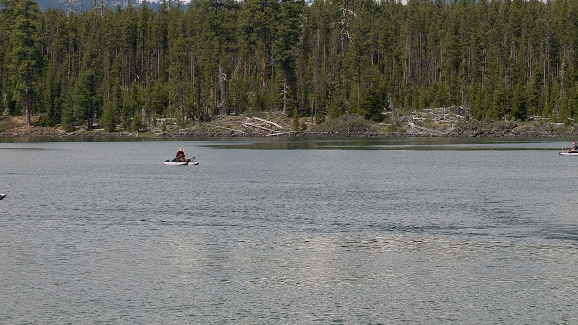 File:8895 lava lake sall odfw (20881737661).jpg