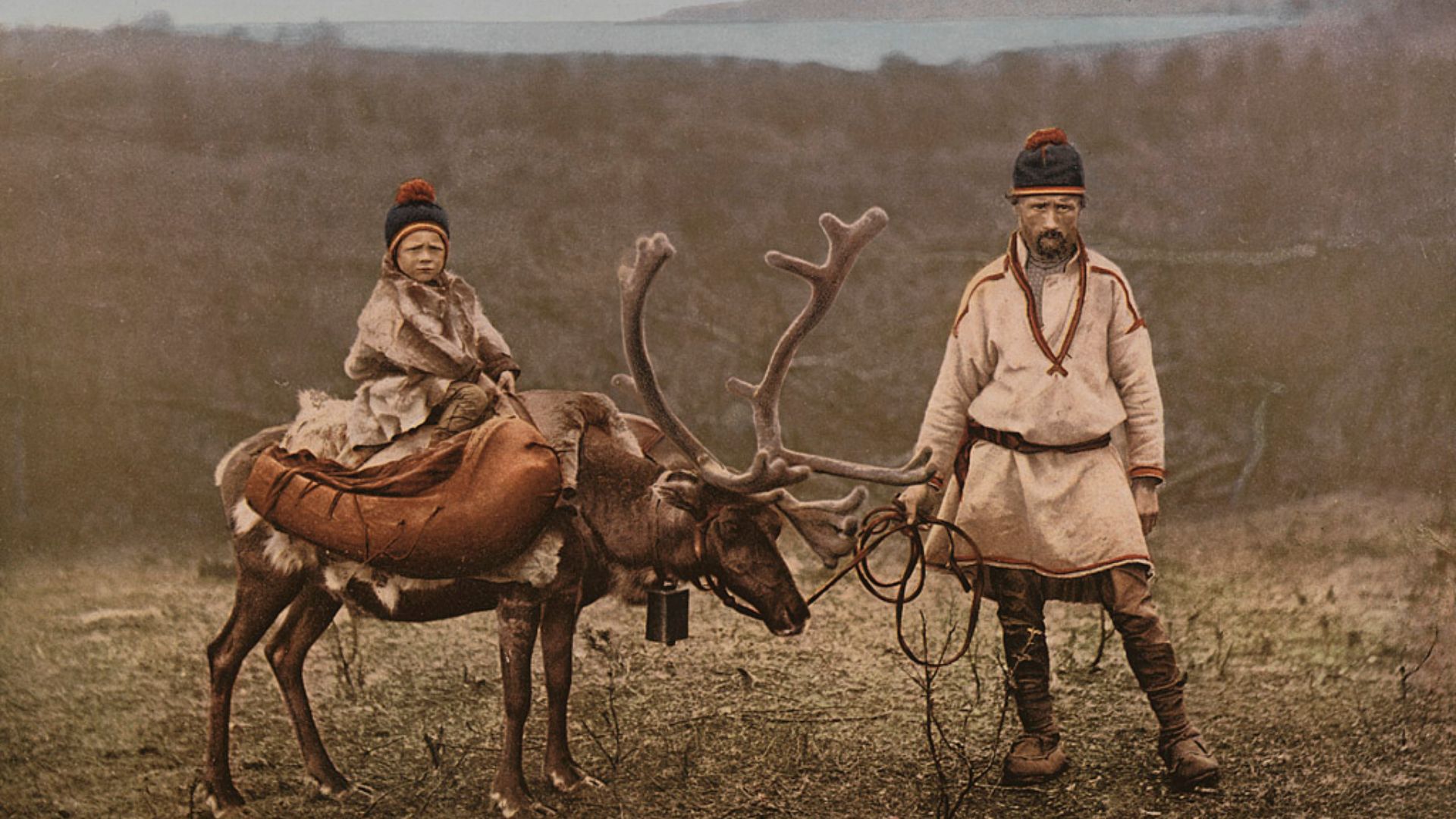 File:Lapper og Reinsdyr.jpg