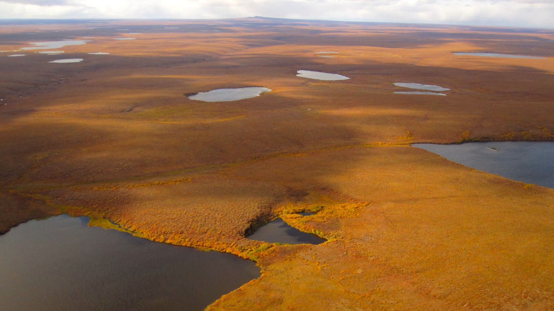 File:Landscape in Bering Land Bridge National Preserve (9511691731).jpg