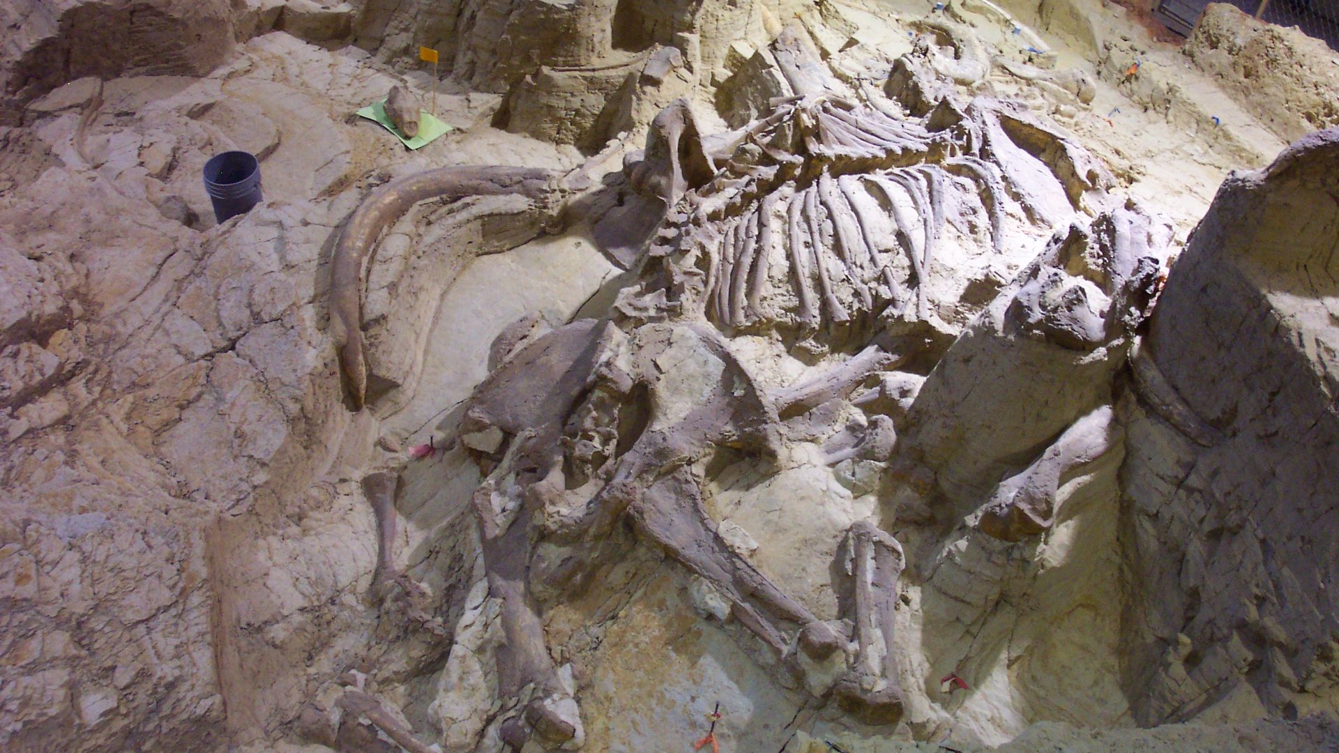 File:Mammoth Site Hot Springs.jpg