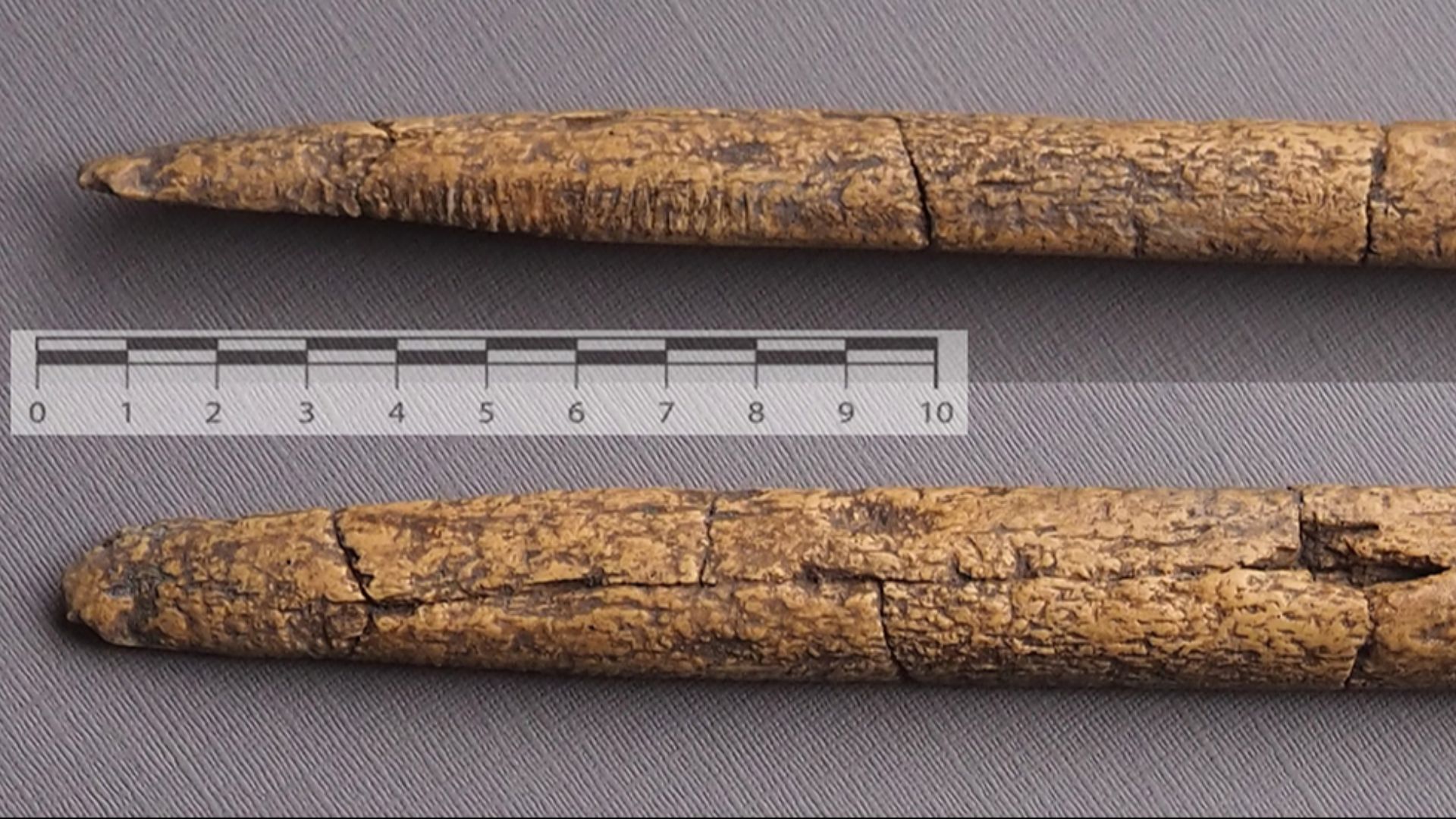 File:Clovis beveled rod replica.png