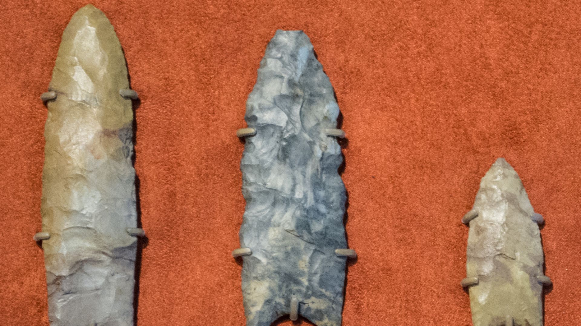 File:Clovis spearpoints collected in 1807 - Cleveland Museum of Natural History - 2014-12-26 (20426140553).jpg