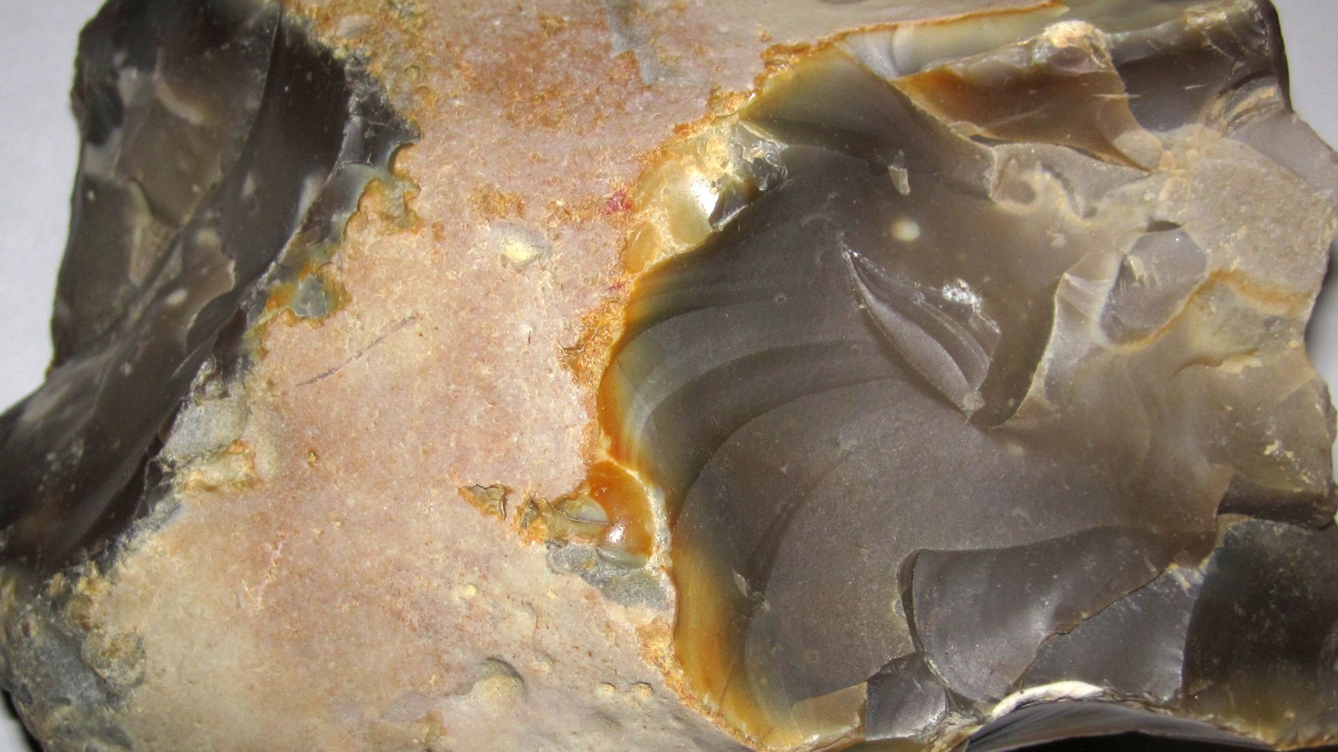 File:Chert nodule 2.jpg