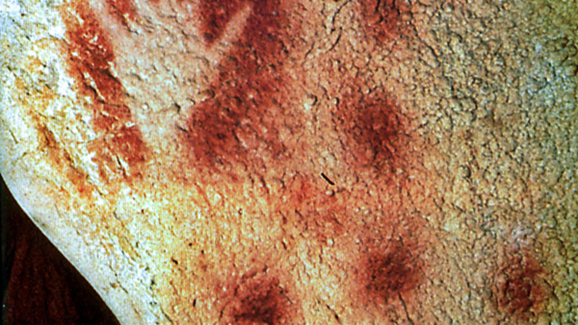 File:Pech Merle main.jpg