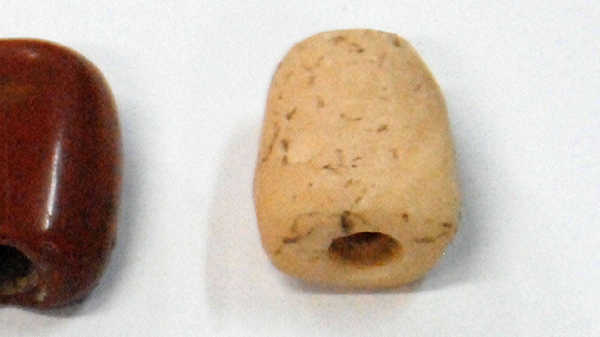 File:Drilled shell and bone and seed beads from the Lapita site at Bourewa in Fiji.jpg