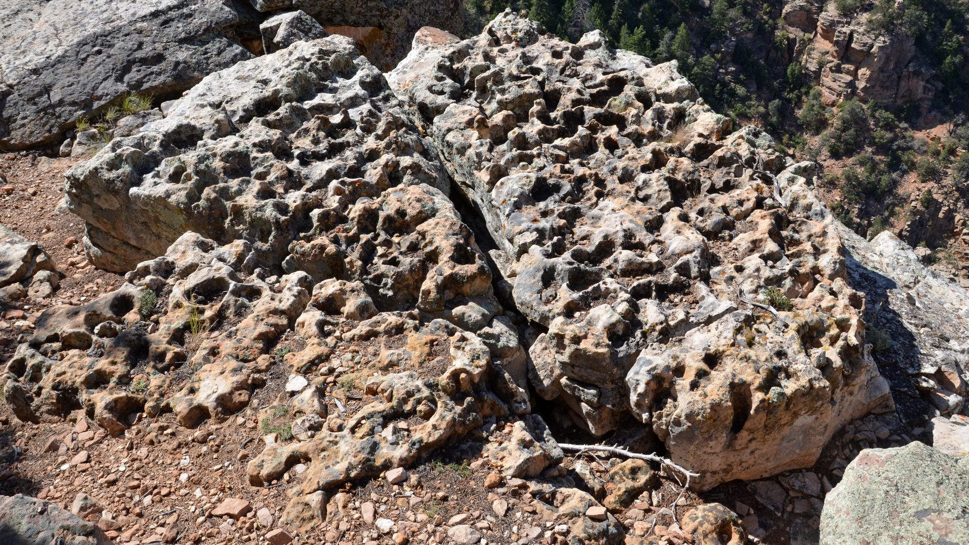 File:Grand Canyon National Park Kaibab Formation 8904 (8045873846).jpg
