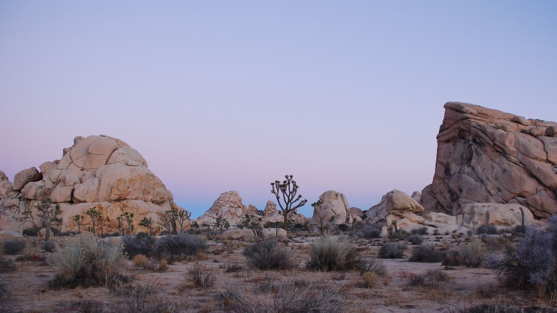 File:Joshua Tree - Cyclops + Potato Head - Sunrise.jpg