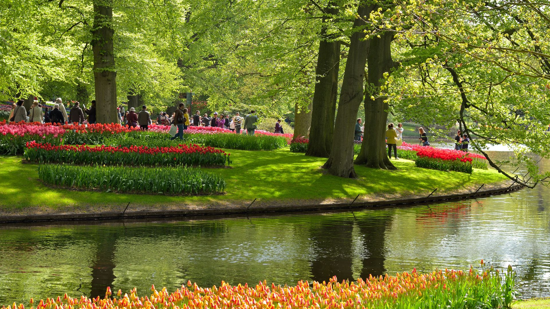 File:Keukenhof - panoramio (82).jpg