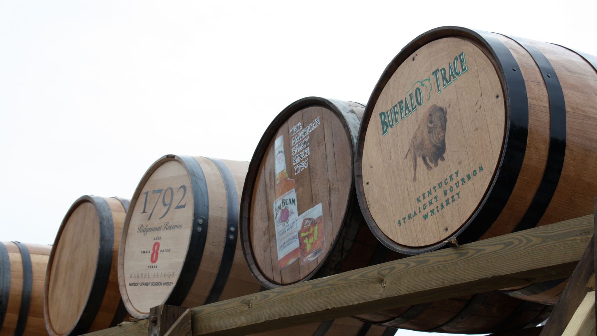 File:Barrel Rolling Contest.jpg