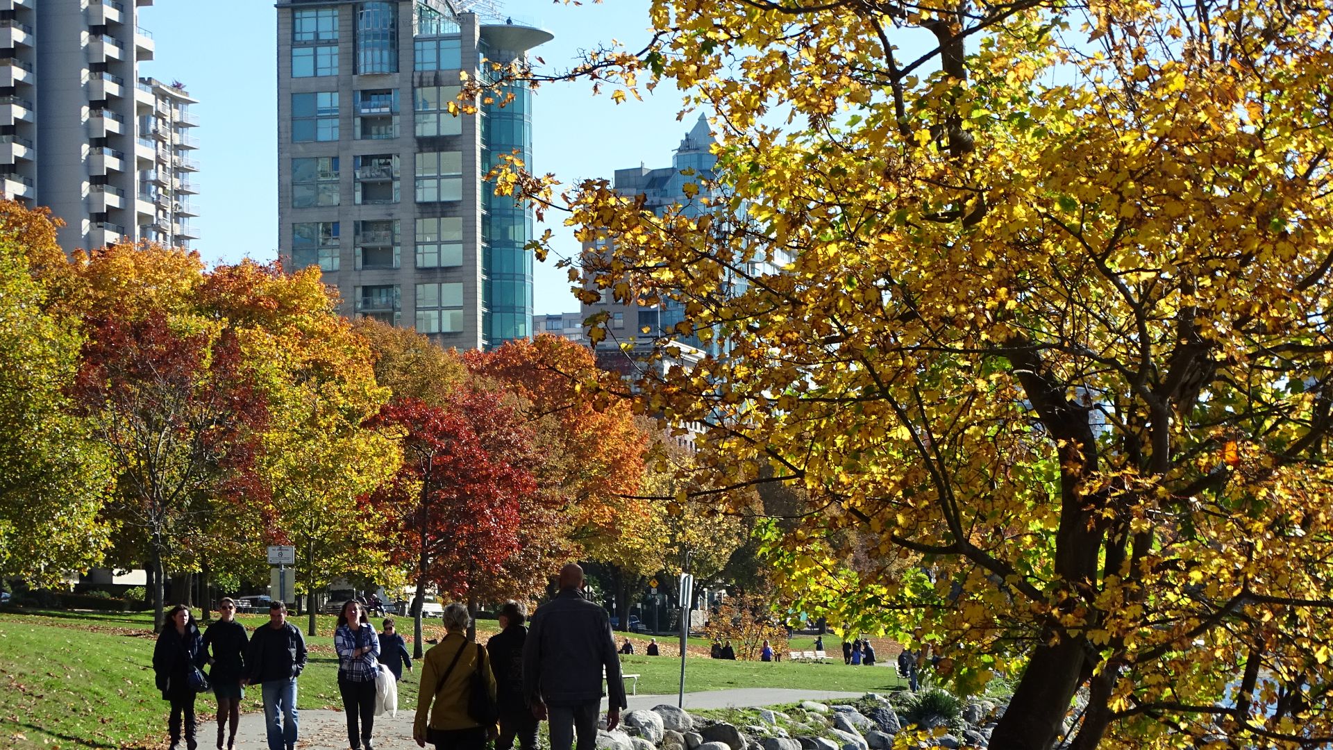 File:Autumn Scene in Stanley Park - Vancouver - BC - Canada - 17 (37973625871) (2).jpg