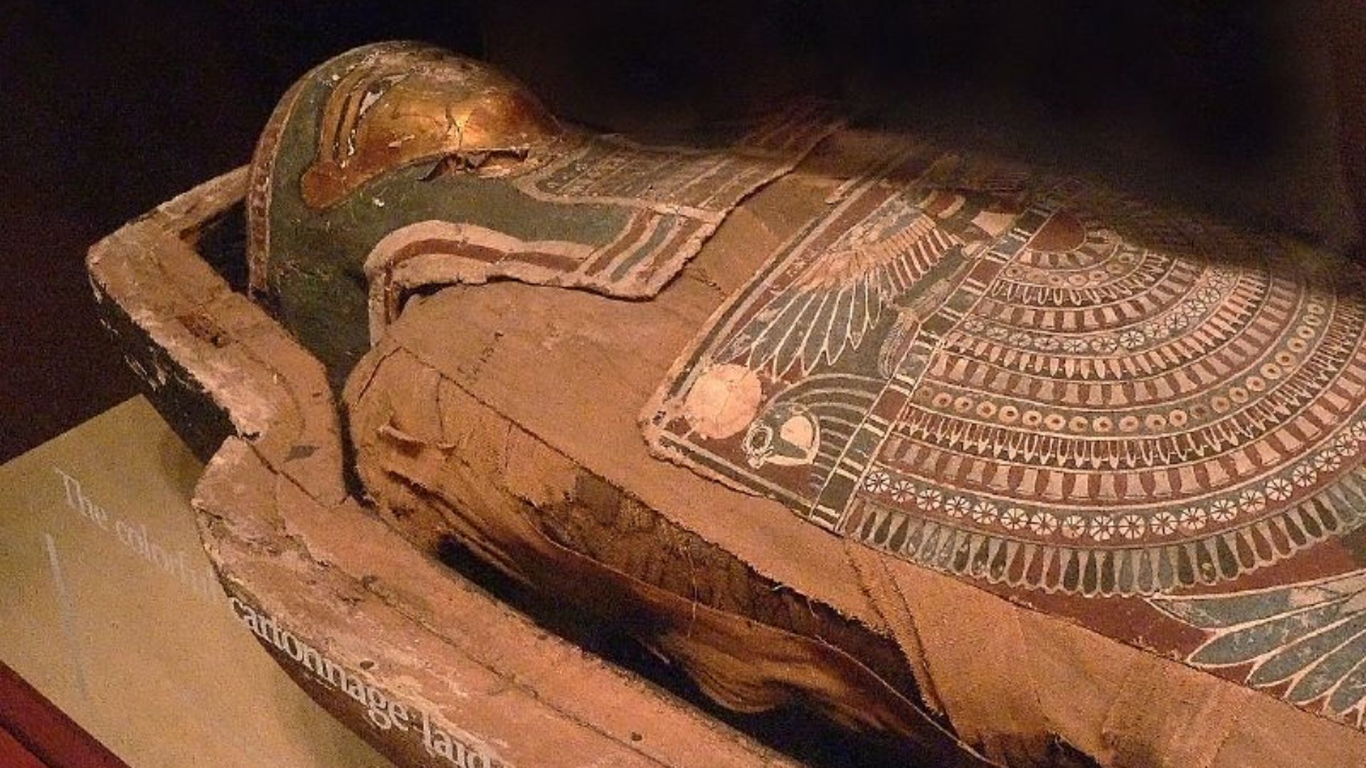 File:Mummy with painted cartonnage Roman Period ancient Egypt (305782494).jpg