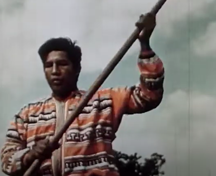 Screenshot from - Seminoles of the Everglades (1949)