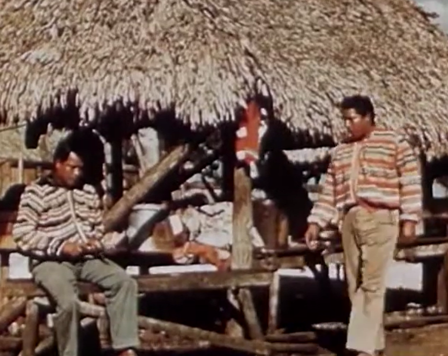 Screenshot from - Seminoles of the Everglades (1949)