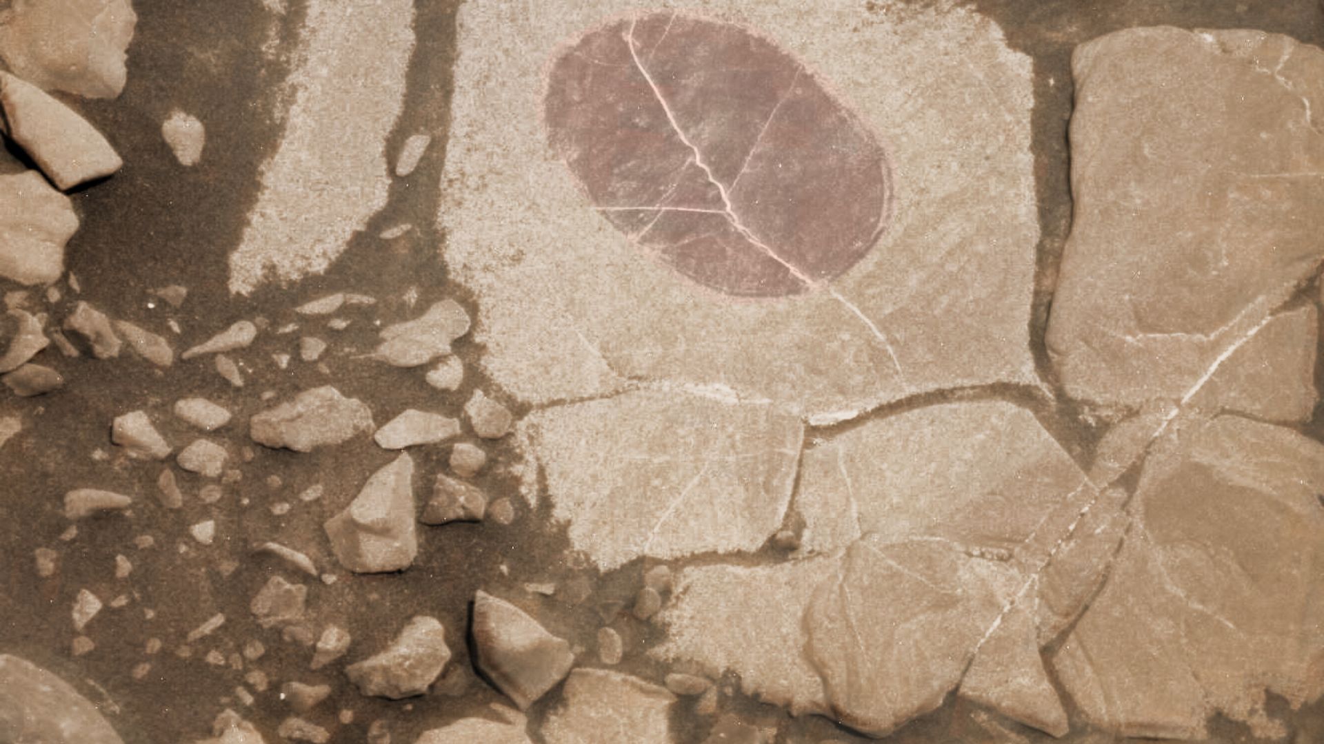 File:Calcium sulfate veins.jpg