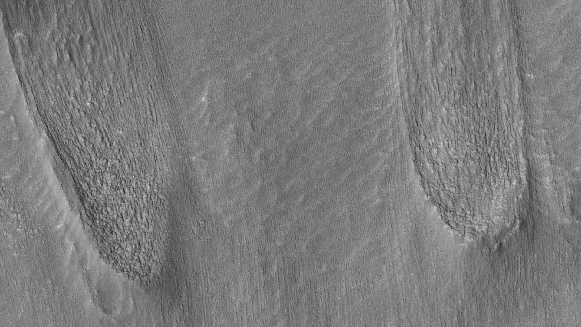 File:47193 1440tonguesclose.jpg