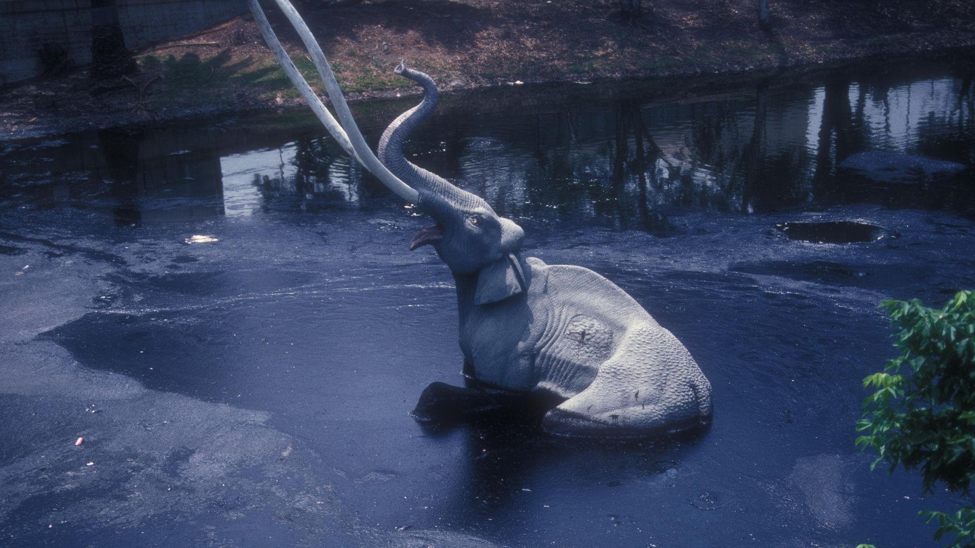 File:LA BREA TAR PITS, LOS ANGELES.jpg