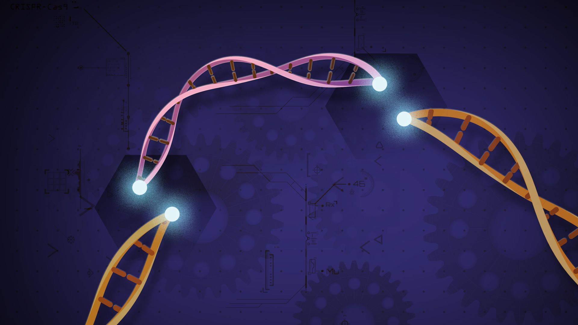 File:CRISPR Cas9 (41124064215).jpg