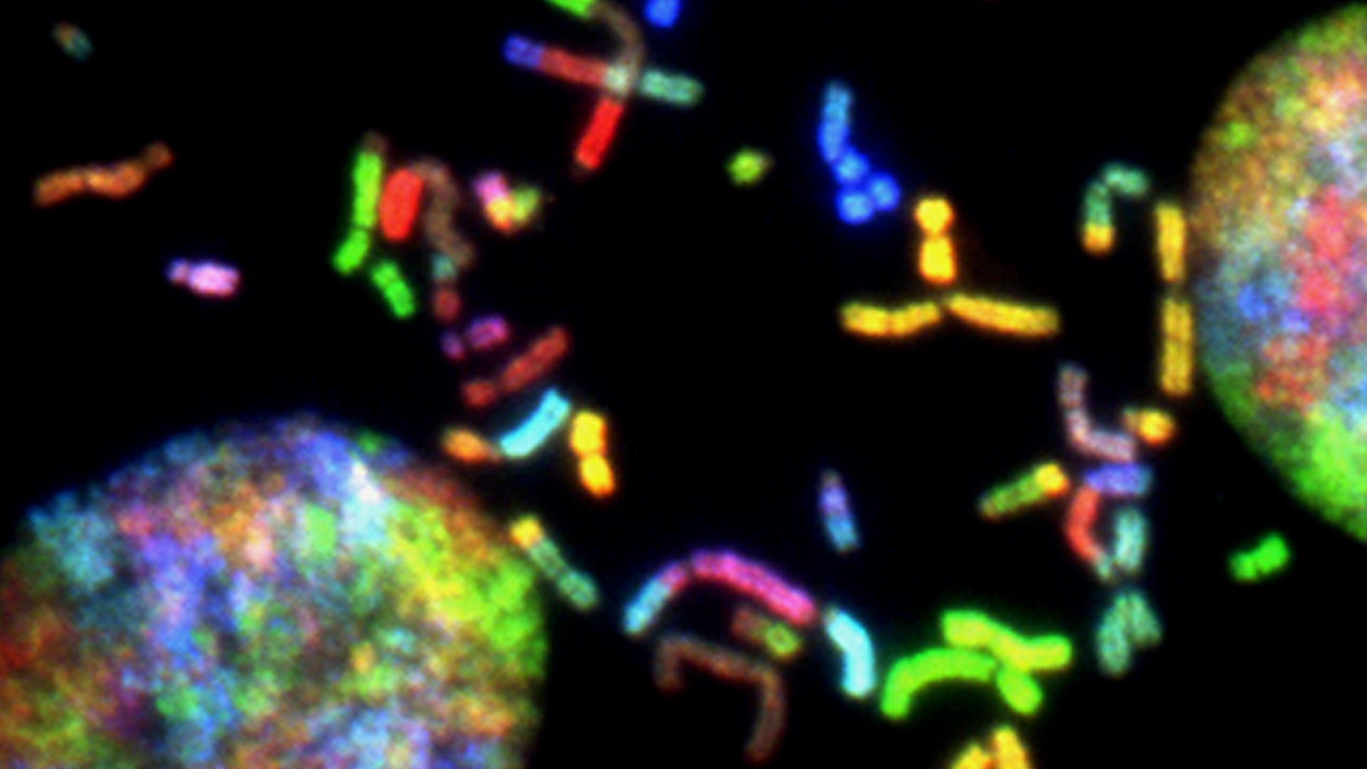 a close up of a cell phone with a black background