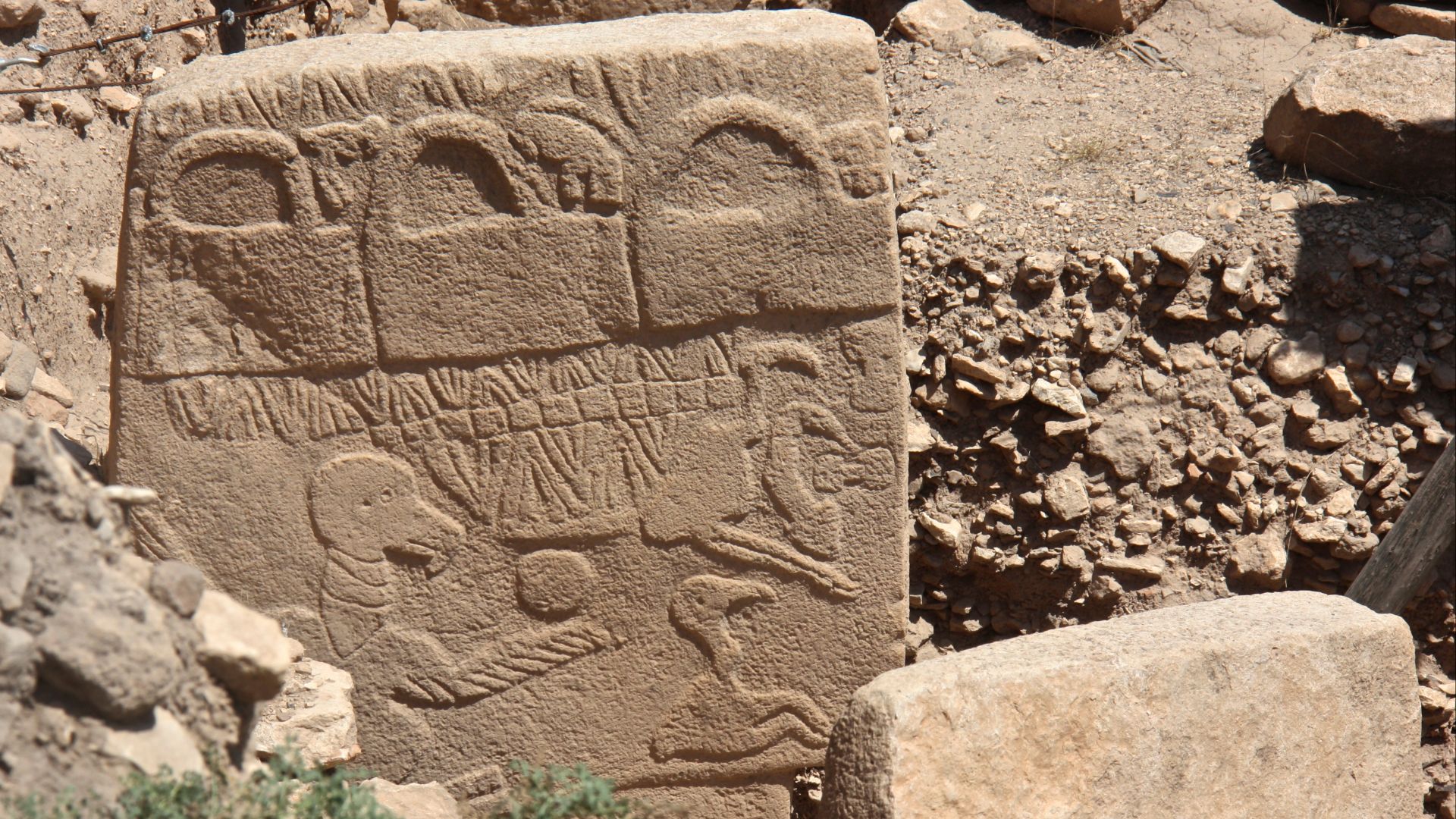 File:Vulture Stone, Gobekli Tepe, Sanliurfa, South-east Anatolia, Turkey.jpg
