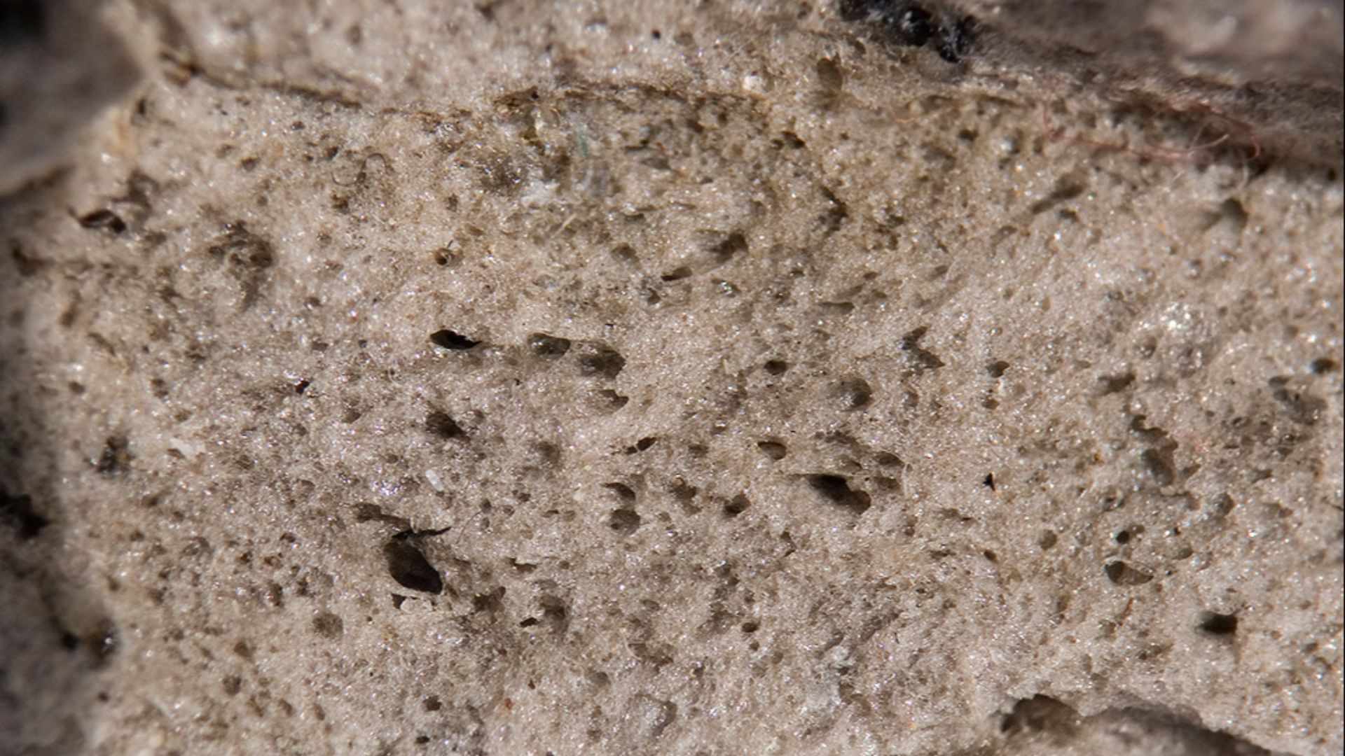 File:Pumice stone detail444.jpg