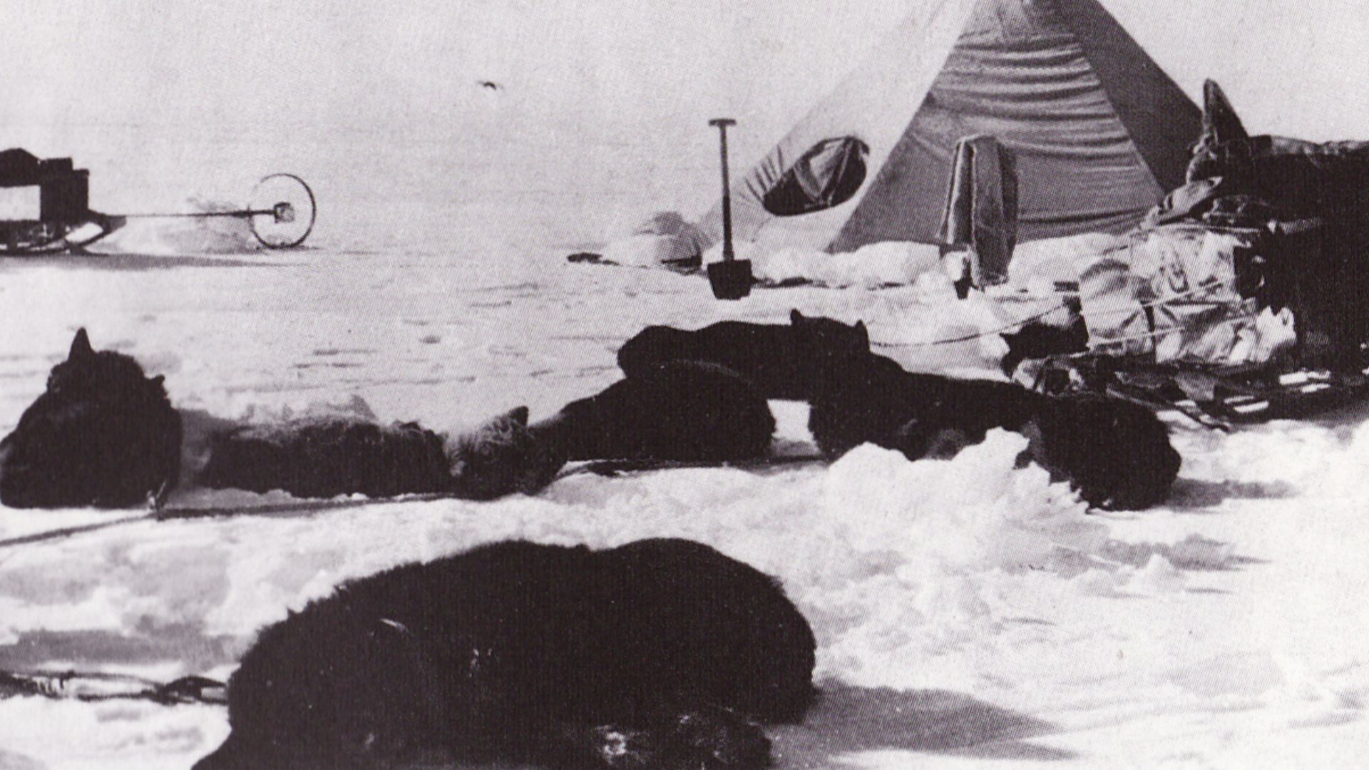 File:Temporary camp - Terra Nova Expedition.jpg