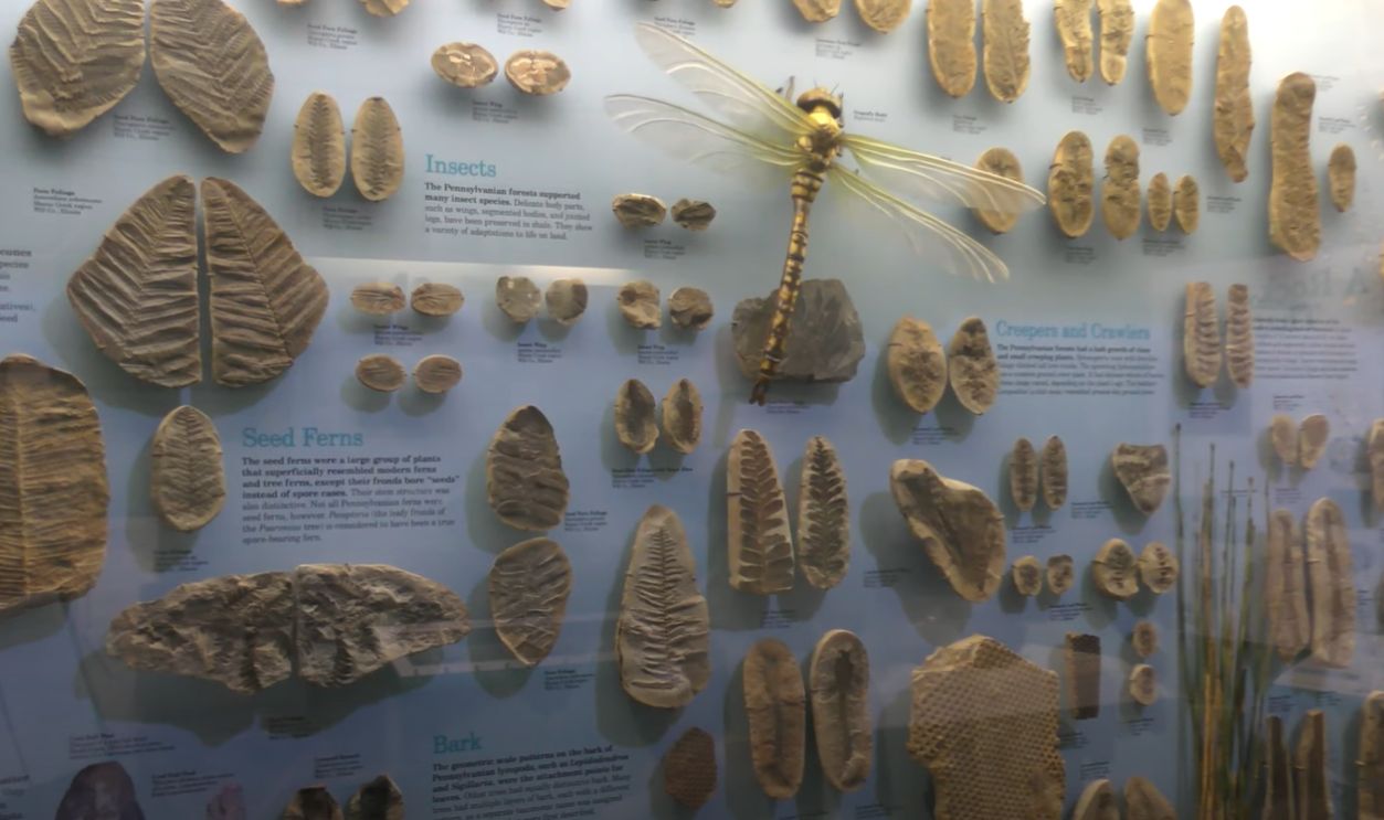 Intentional Collection Rather Than Accidental Accumulation