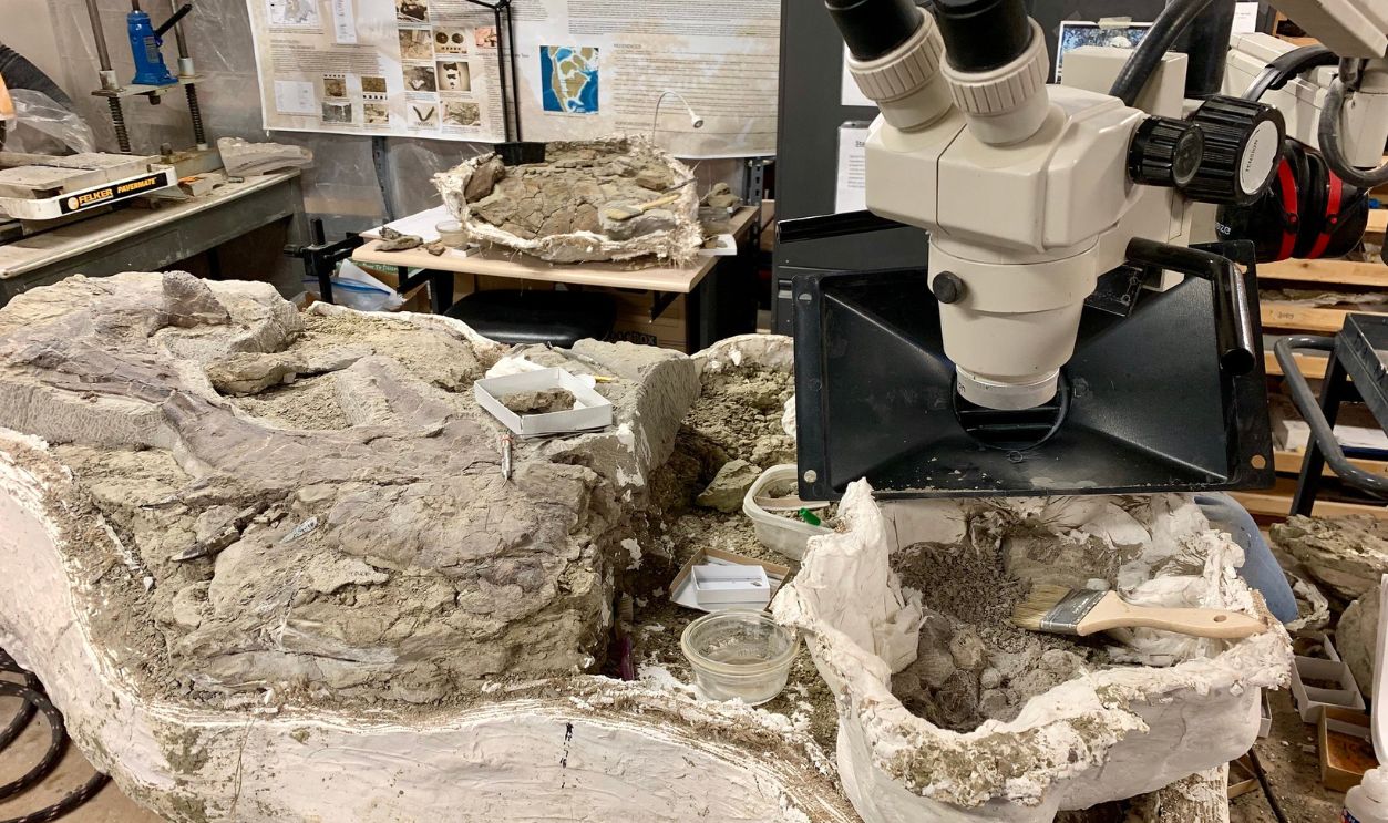 Transporting Fossils Over Long Distances