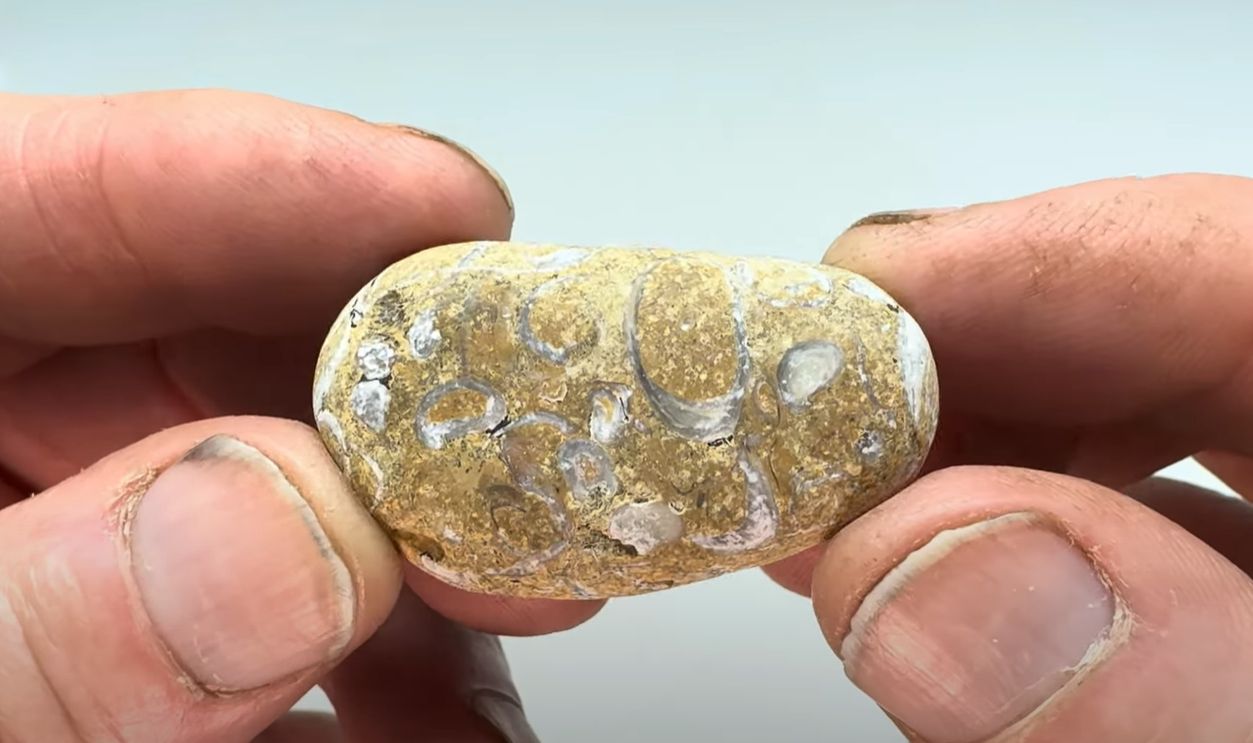 Indications Of Abstract Thinking