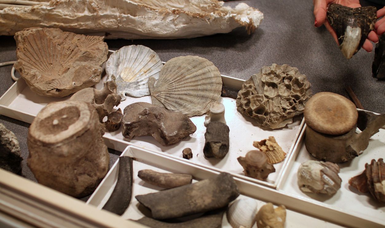 Evidence Of Non-Utilitarian Behavior