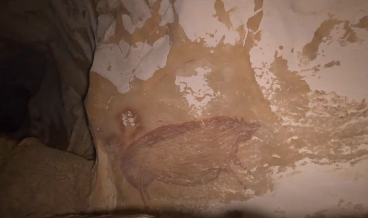 Fossils As Possible Teaching Tools