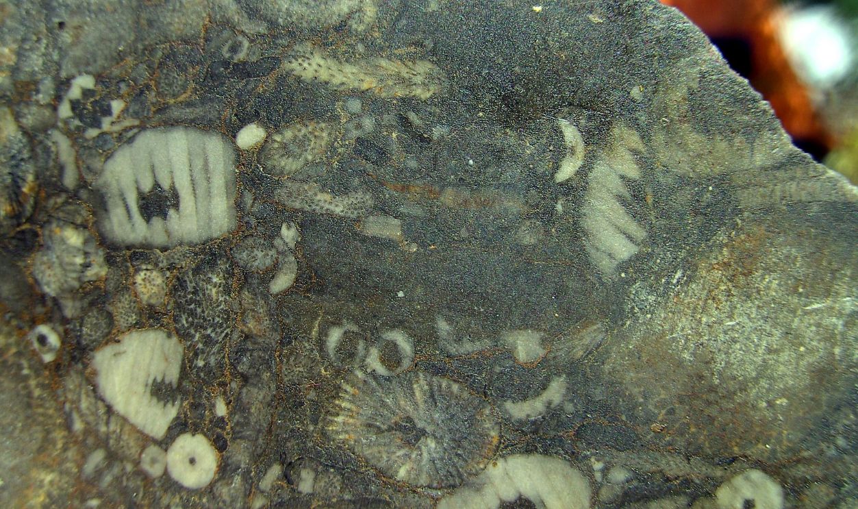 A Camp Located Far From The Sea