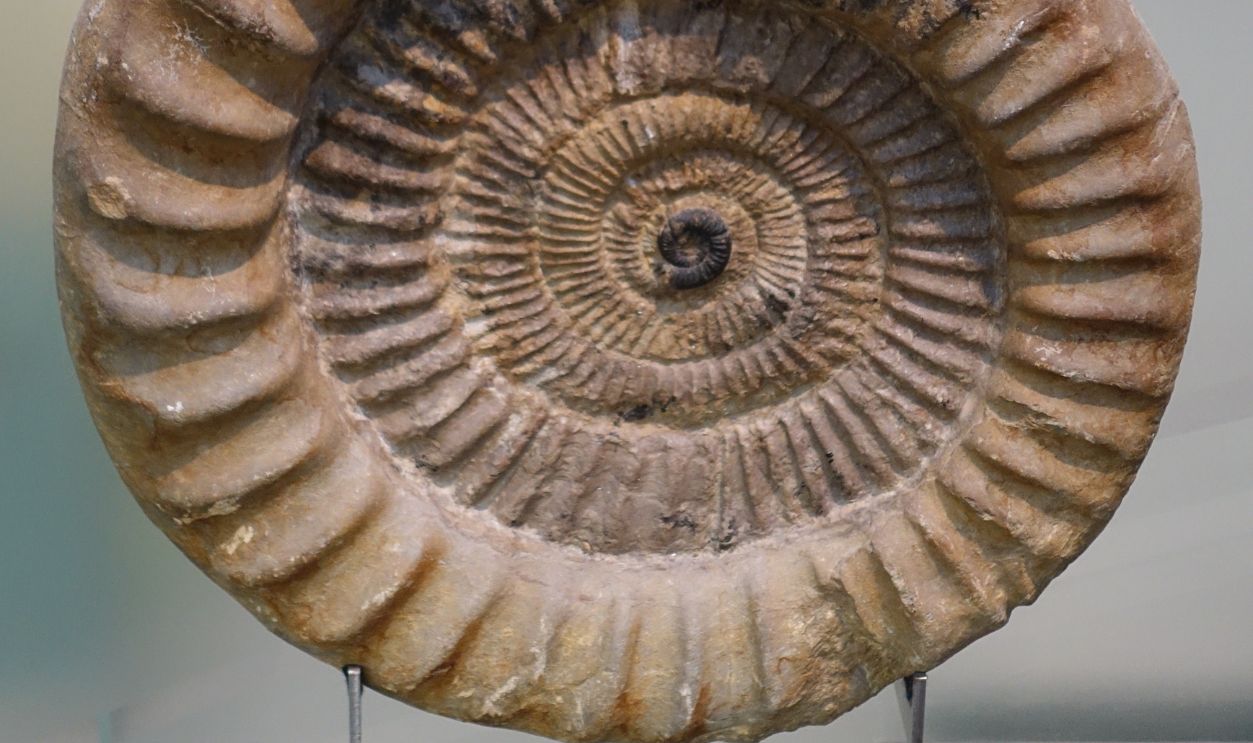 Dating Back Over 39,000 Years