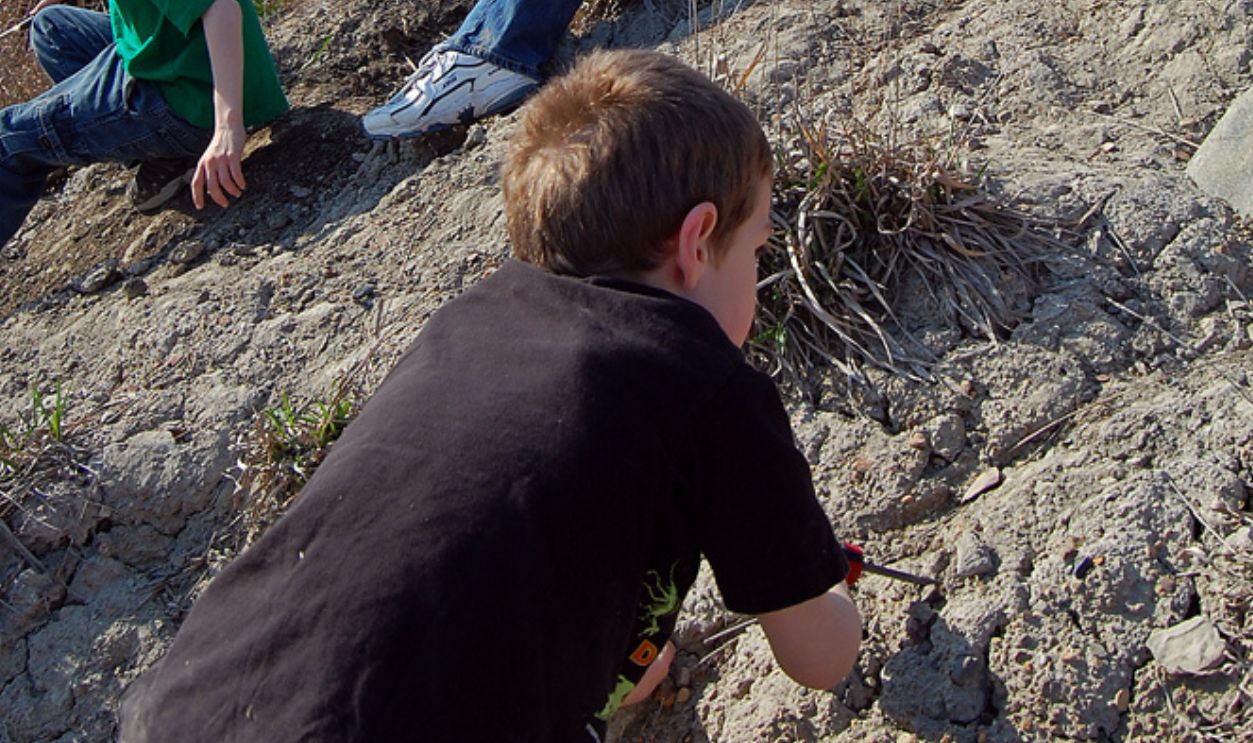 Comparison To Modern Human Behavior