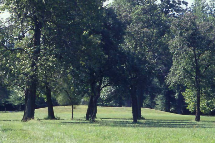 Cahokia Mound 72