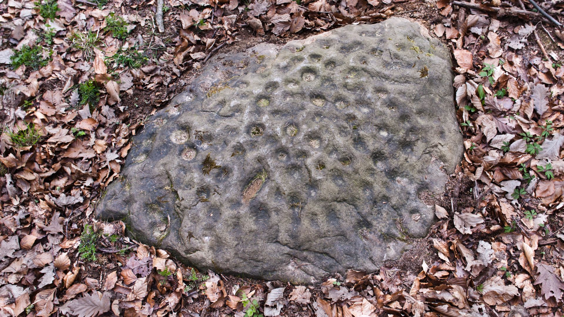 File:Detmeroder Opferstein.jpg