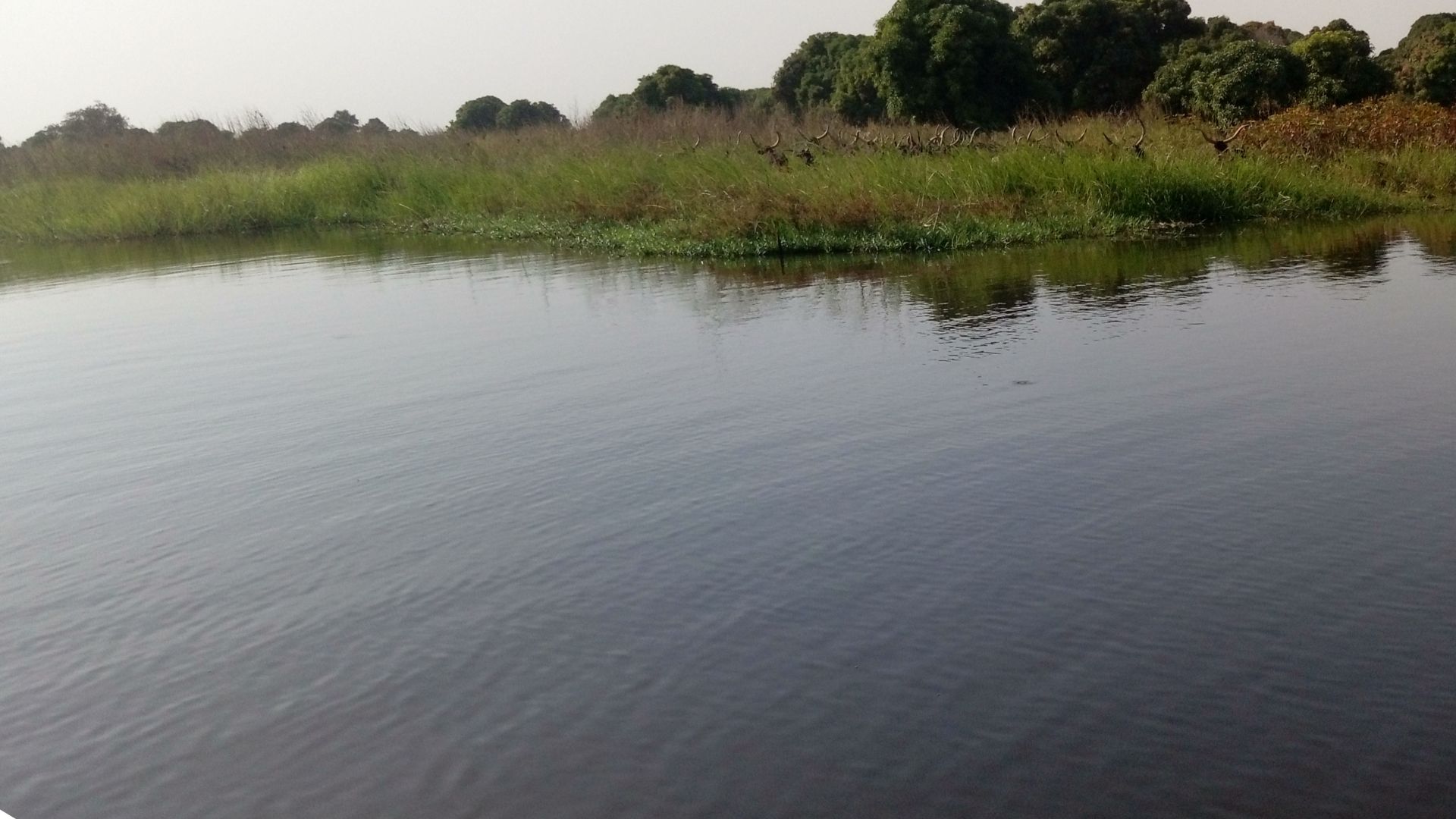 File:Lake chad shore (detilt).jpg