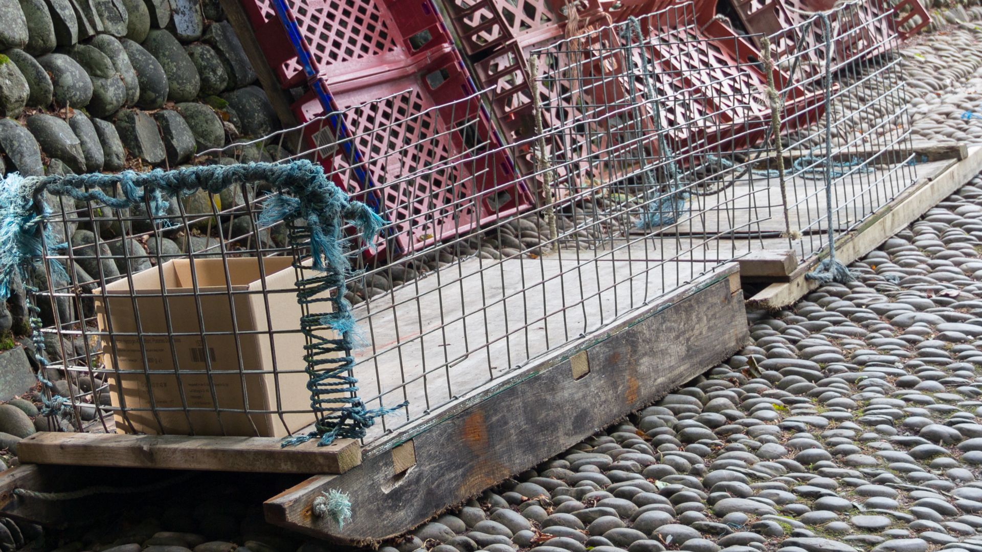 File:Clovelly (Devon, UK) -- 2013 -- 1323.jpg